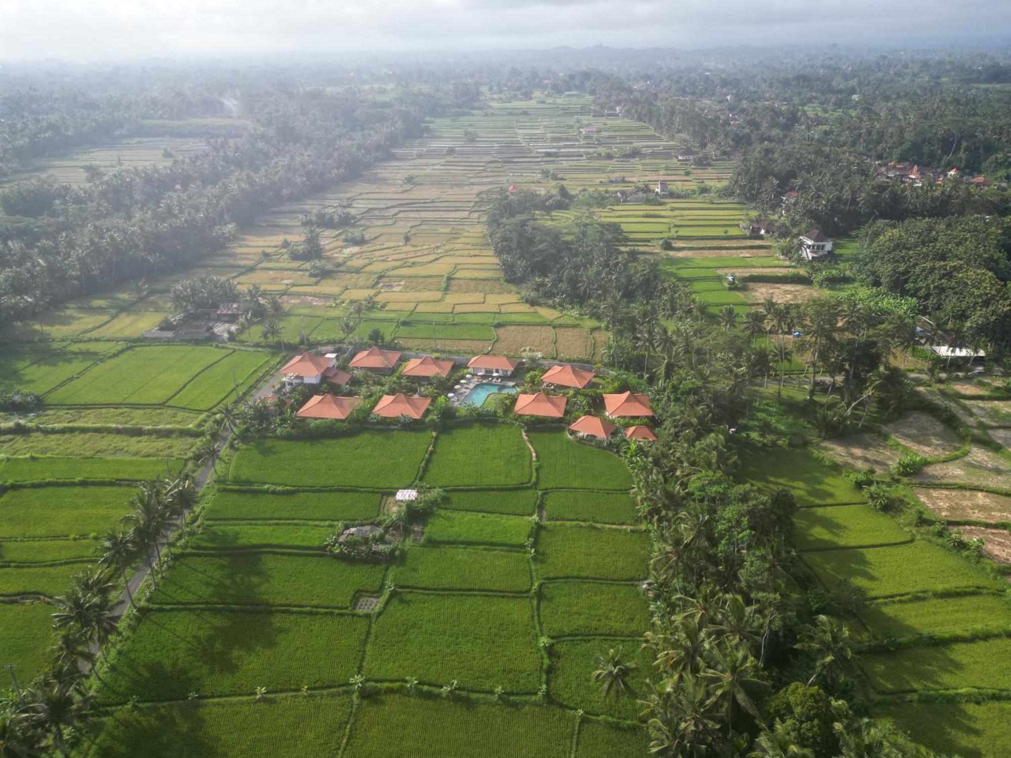 Kampung Uma Dawa Villas And Spa Убуд Экстерьер фото