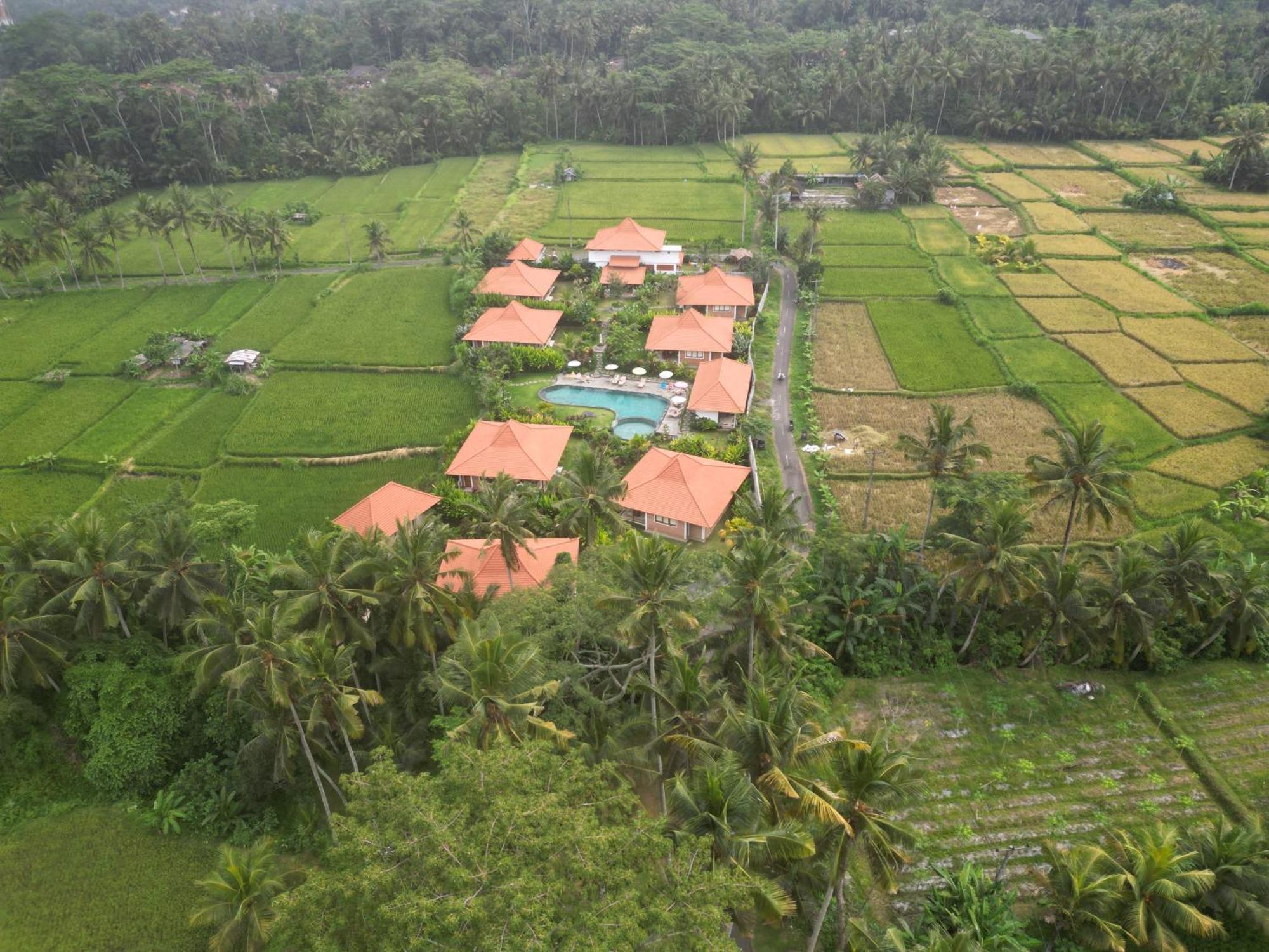 Kampung Uma Dawa Villas And Spa Убуд Экстерьер фото